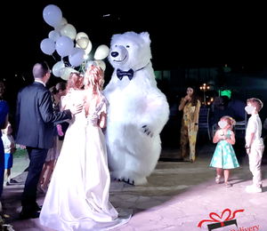 The White Polar Bear came to the wedding to deliver the gift to the bride and groom. Gift Delivery. Wedding gift. Polar bear surprise. White Polar Bear at the wedding.